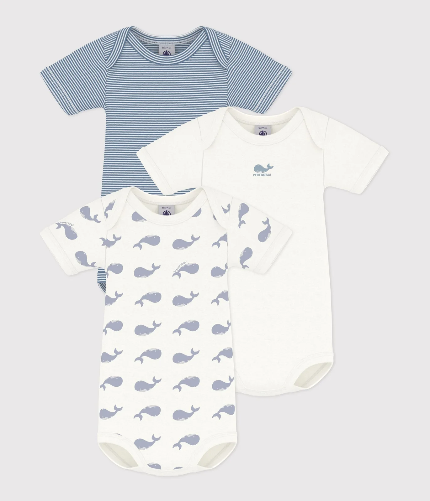 Pack of babies' short-sleeved whale print cotton bodies