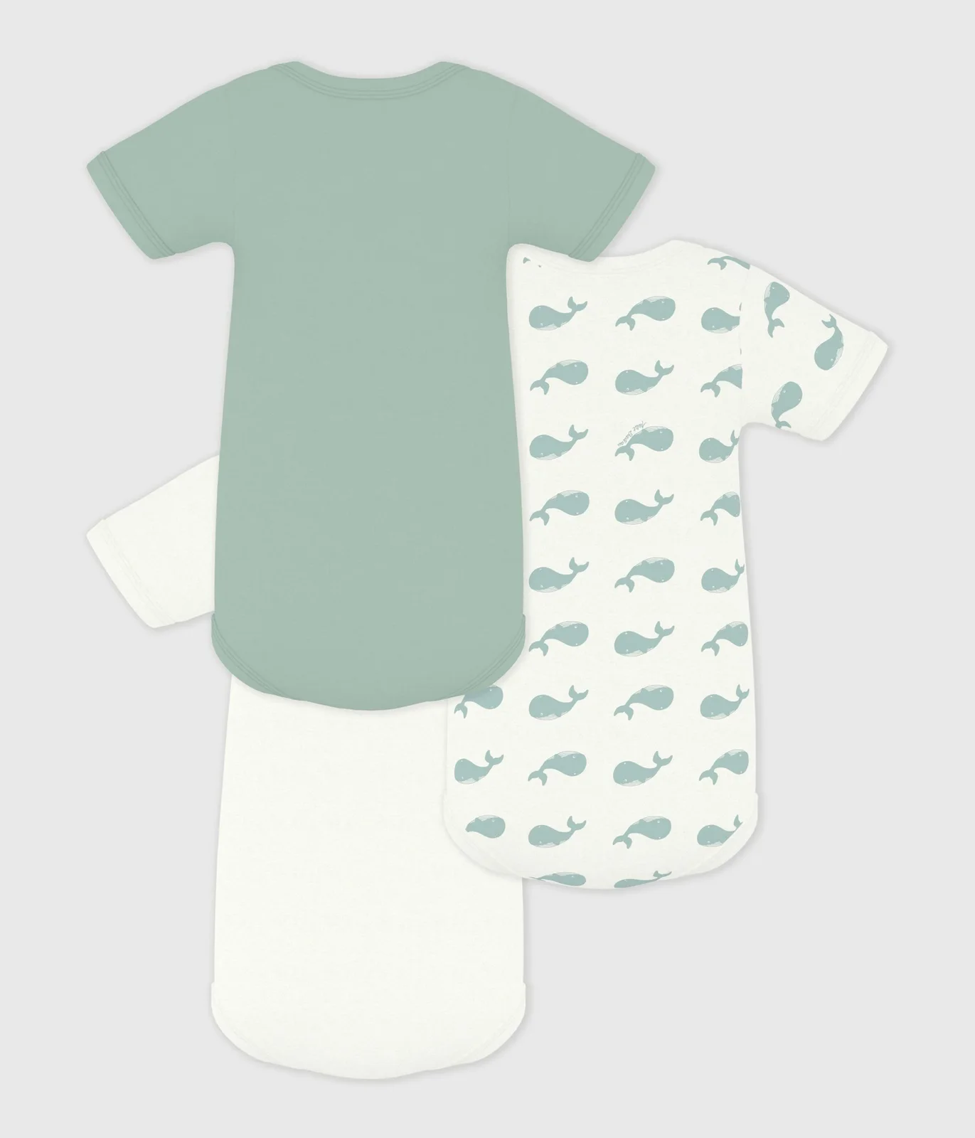 Pack of babies' short-sleeved whale print cotton bodies