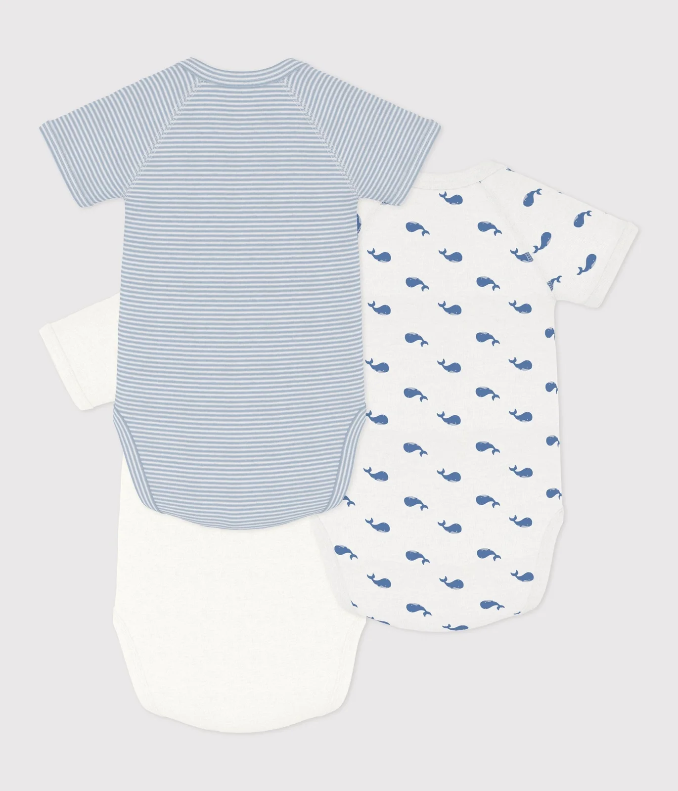 Pack of babies' short-sleeved printed cotton wrapover bodies