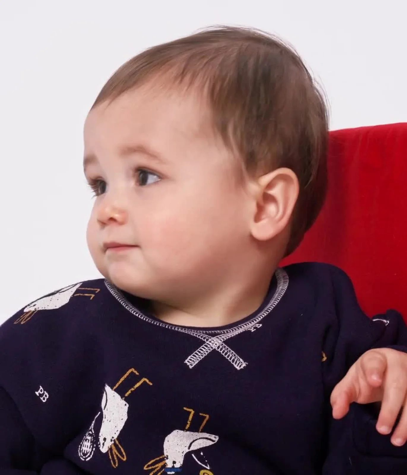Babies' seagull print cotton hoodie