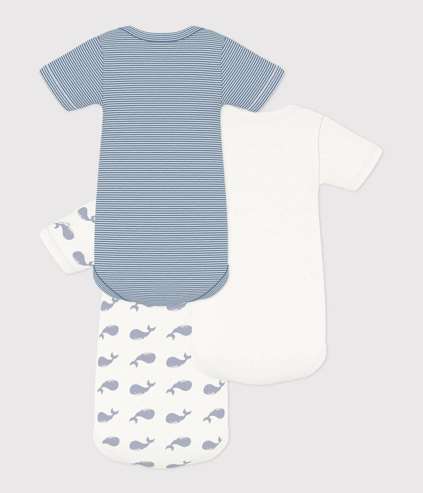 Pack of babies' short-sleeved whale print cotton bodies