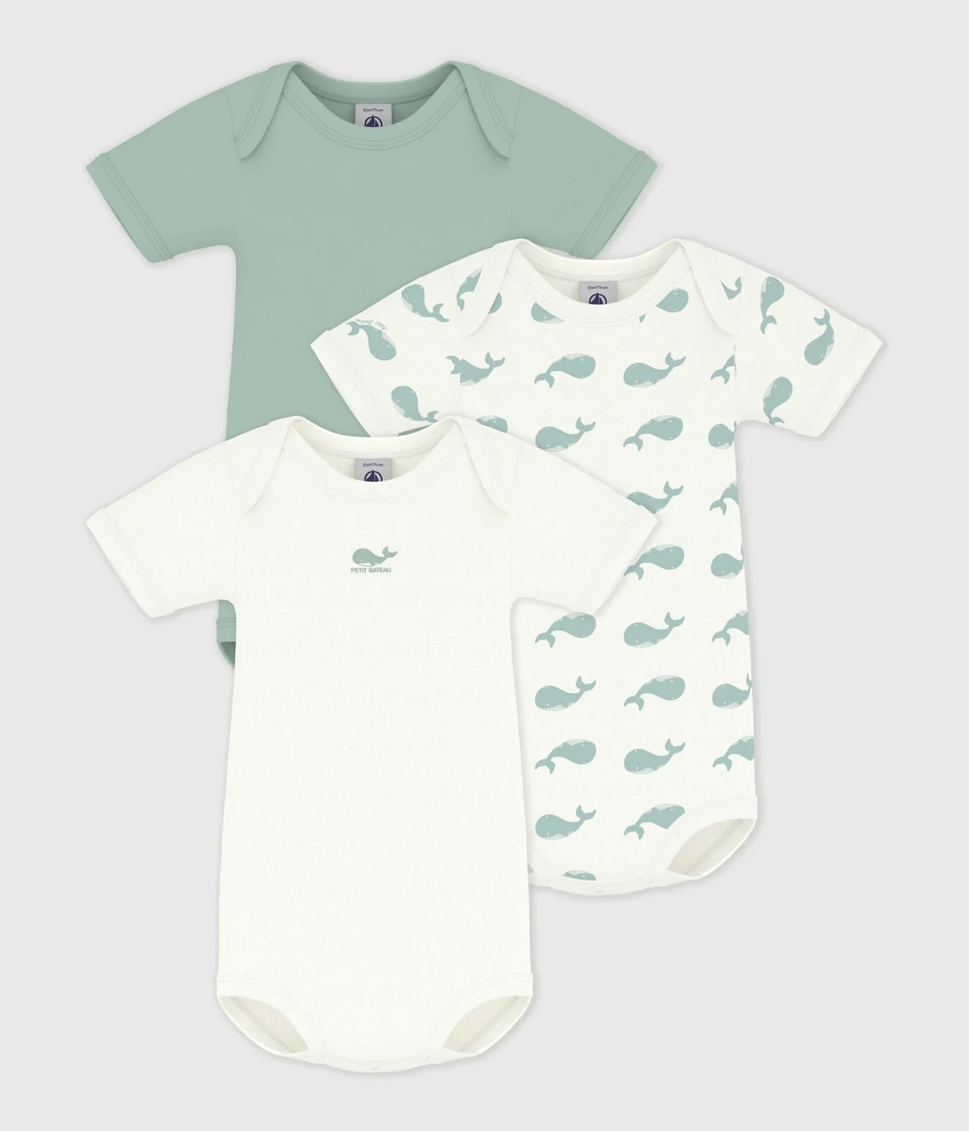Pack of babies' short-sleeved whale print cotton bodies